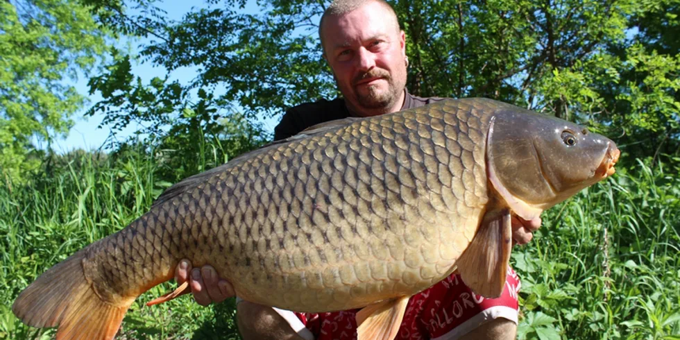 Barbieho tažení...