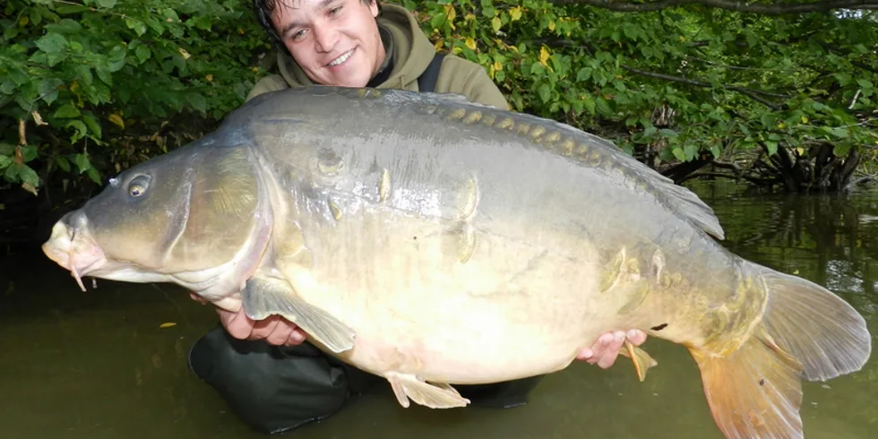 Scopexův podzim ve Francii...