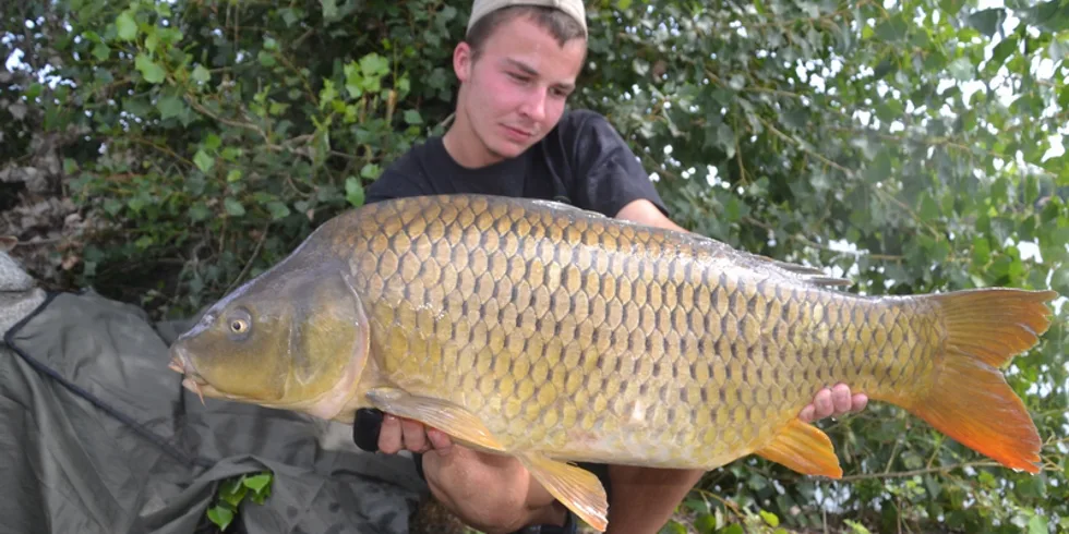 Šílenství se zig rigy...