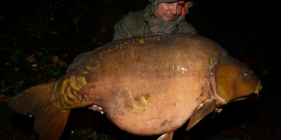 Rozmarné babí léto