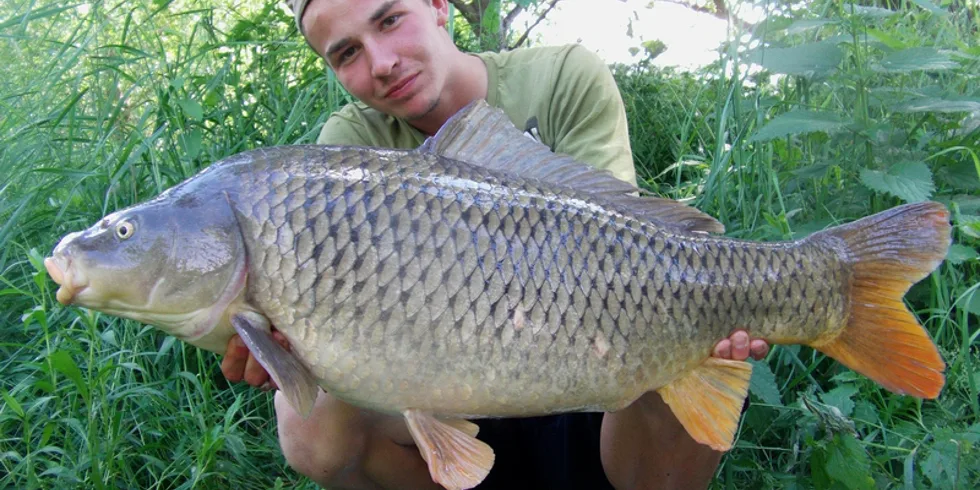 Krátká výprava do říše snů...