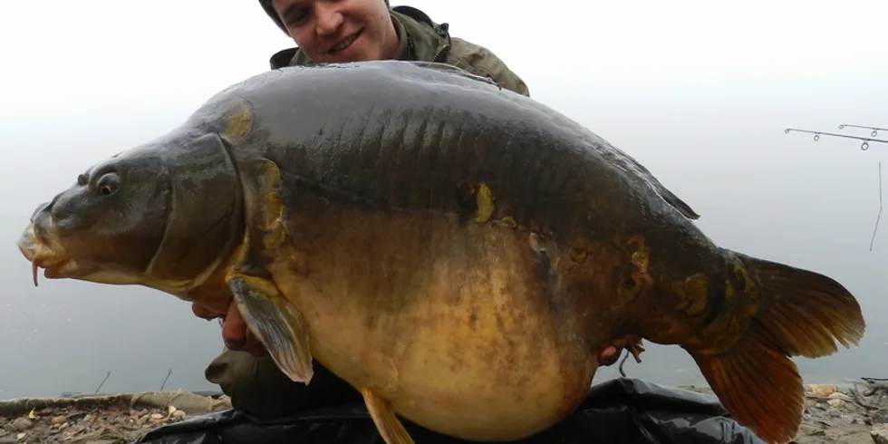 Povedený konec října...