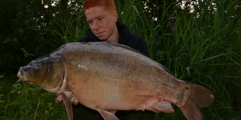 Krátké vycházky...