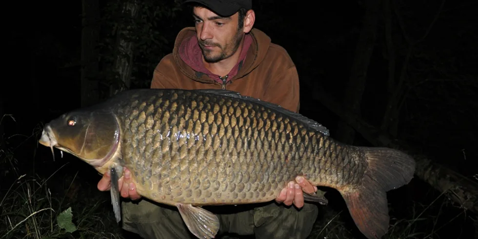 Láďův průřez sezonou