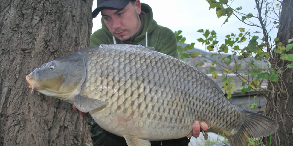 Na sklonku sezony...