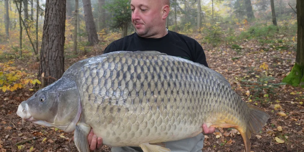 Setkání s KRÁLEM - nový Slovinský rekord