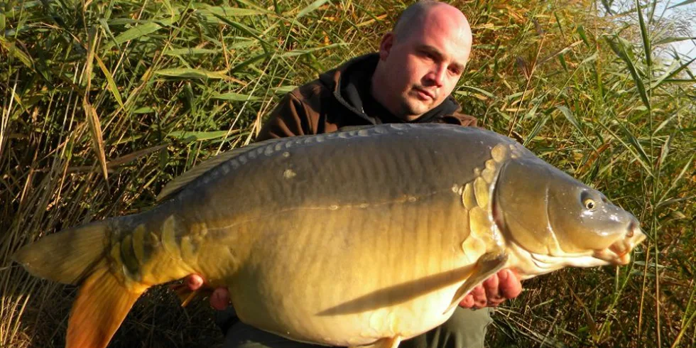 Průřez sezonou 2013