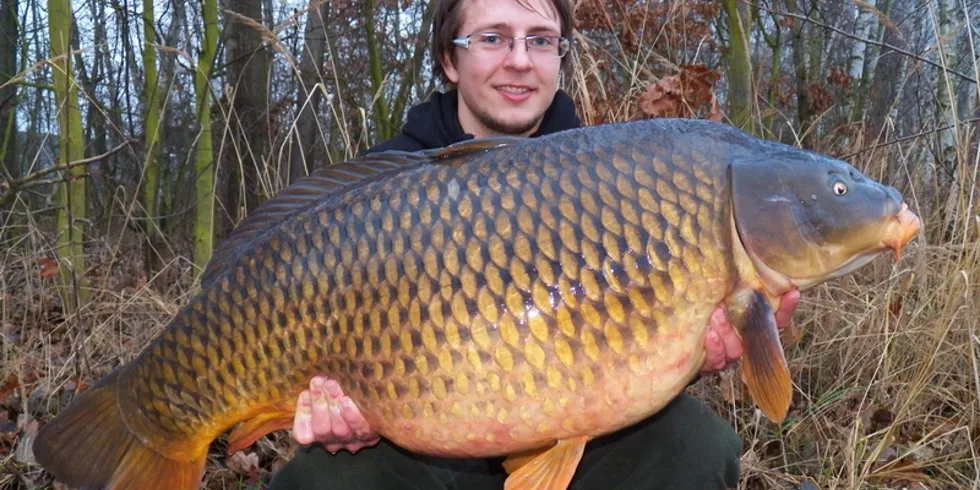 Mildovo zimní zahájení