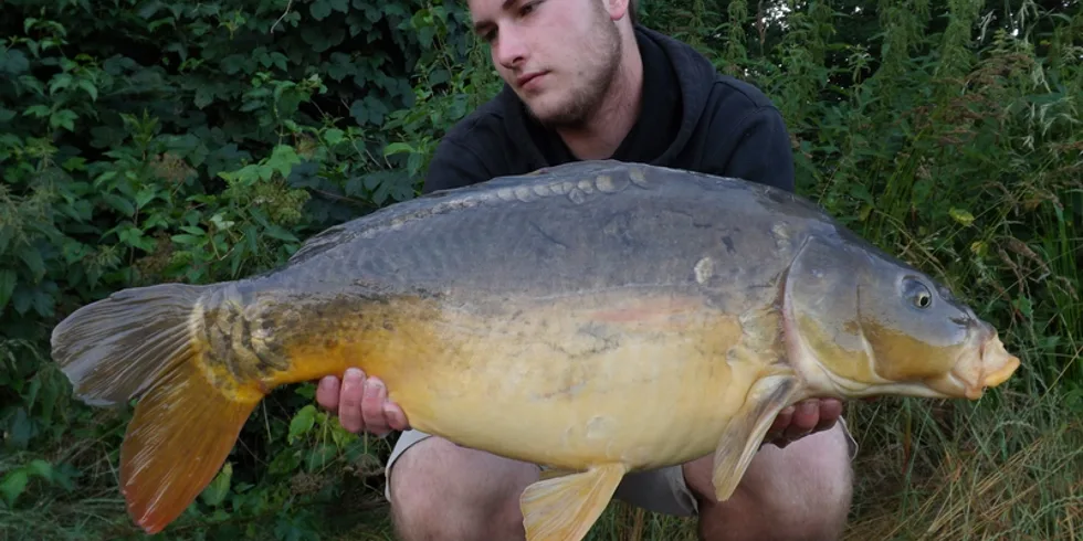 Ve znamení mlíčáků...