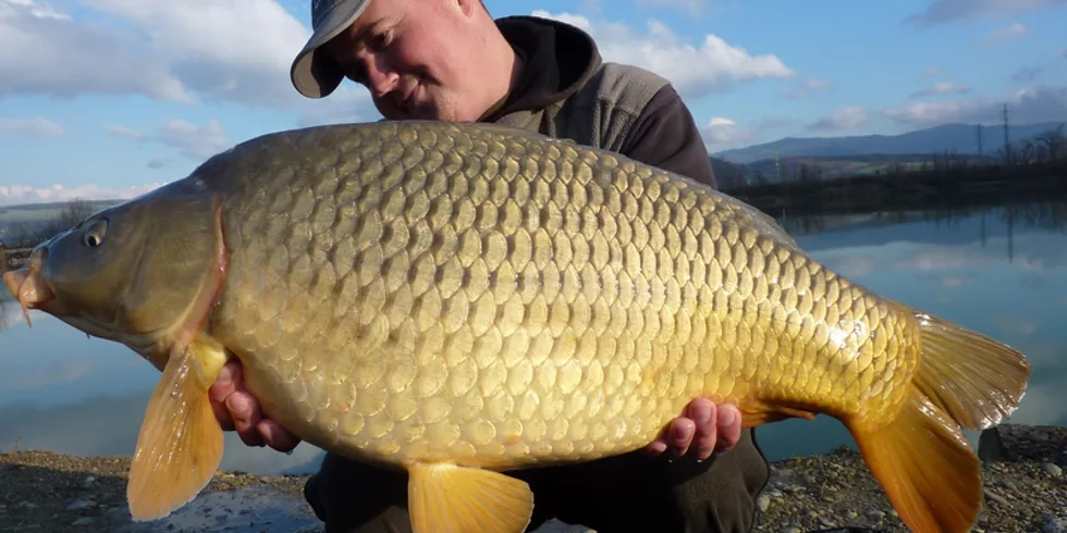 Před příchodem zimy...