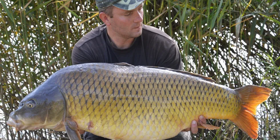 Ve správnou chvíli na správném místě