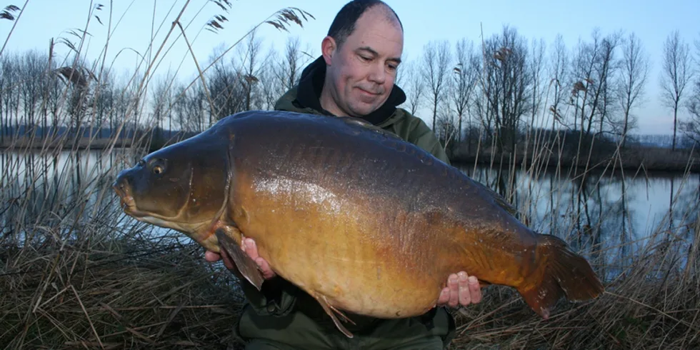 Zimní Euforie – Half-Tail