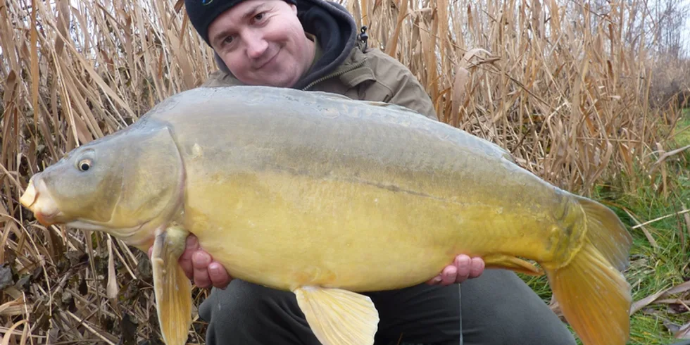 Hned po Silvestru...