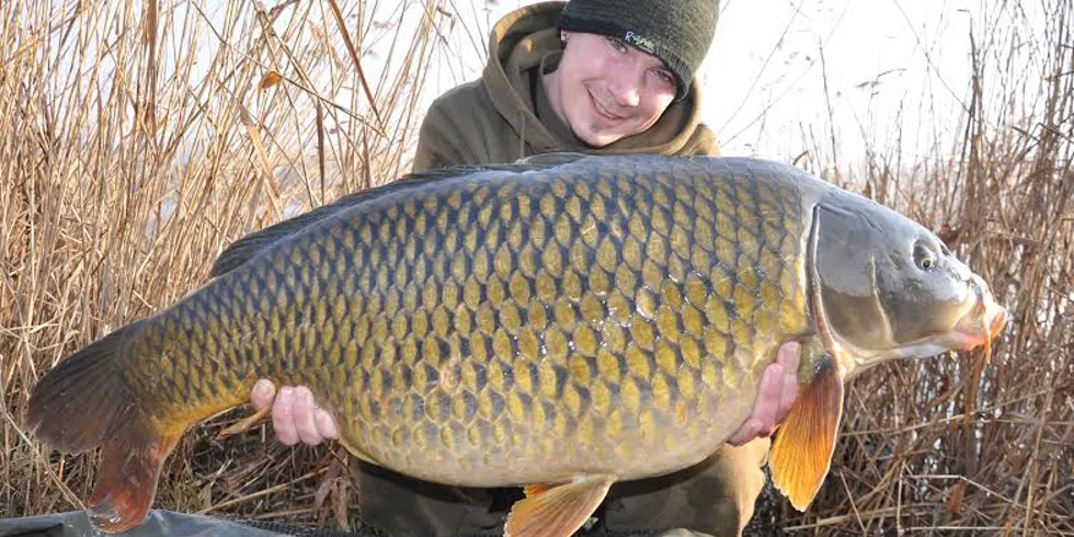 Carpkillerův výstavní šupináč