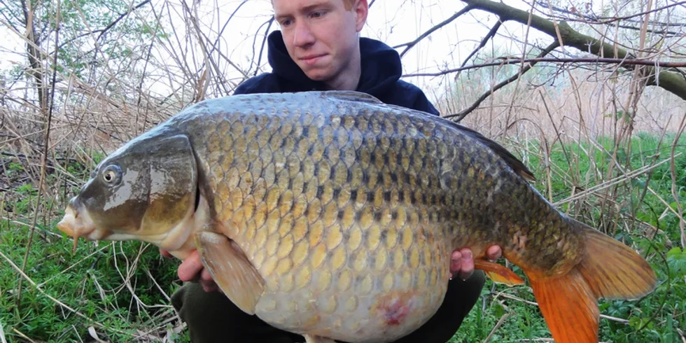 Škola, ryby a fotbal…