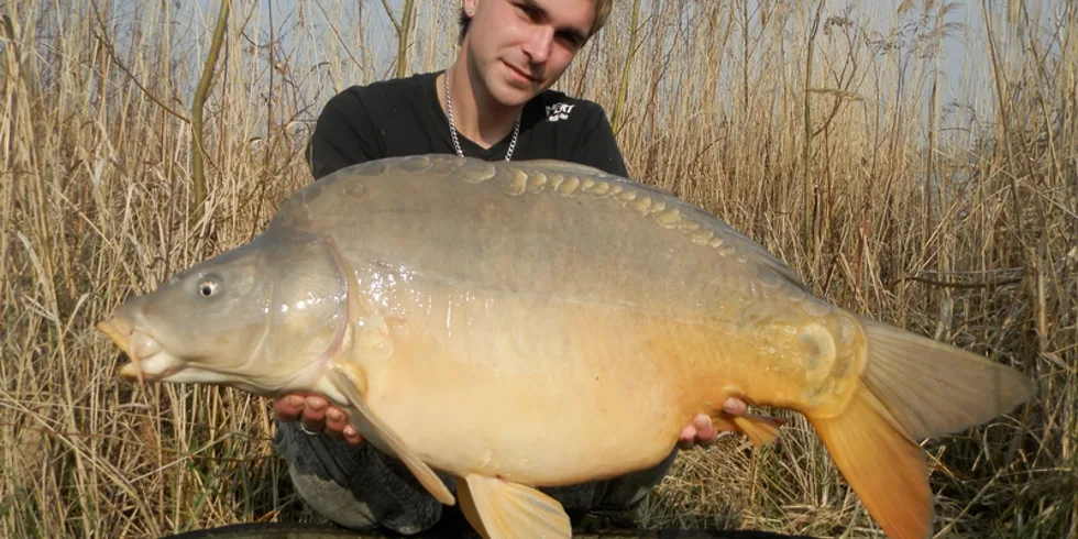 Honzův začátek sezony