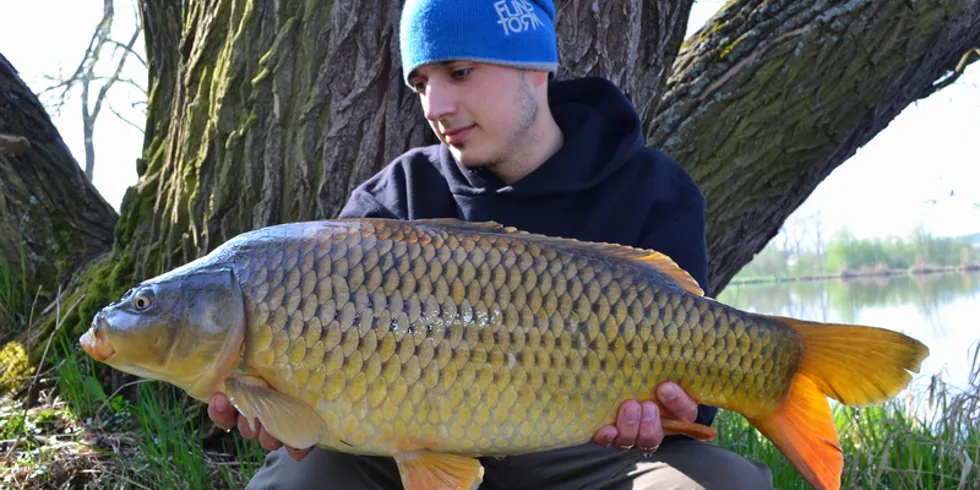 Leošova premiéra s Jíťou