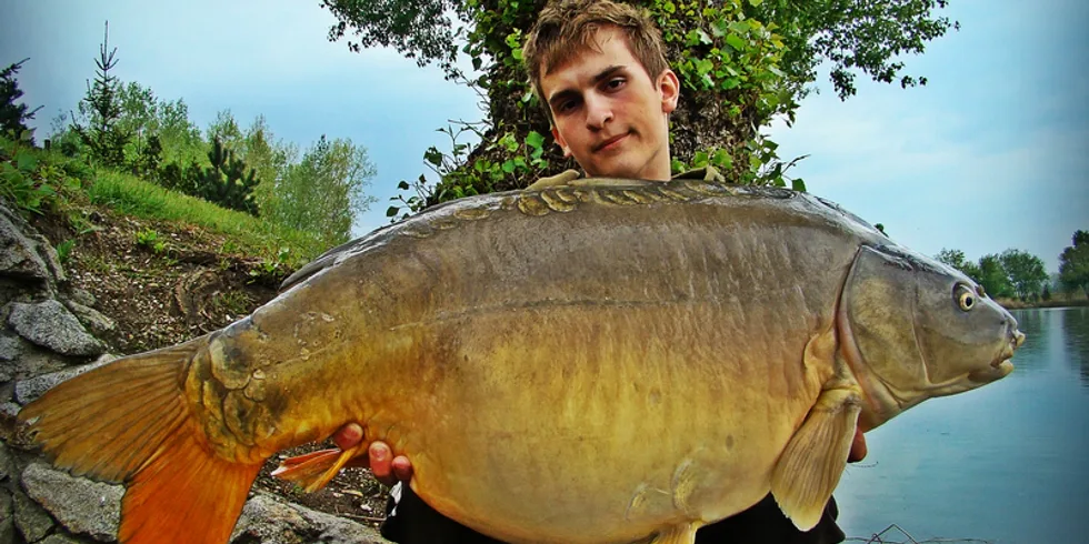 Tréningový denník - Zig Rig Masterclass