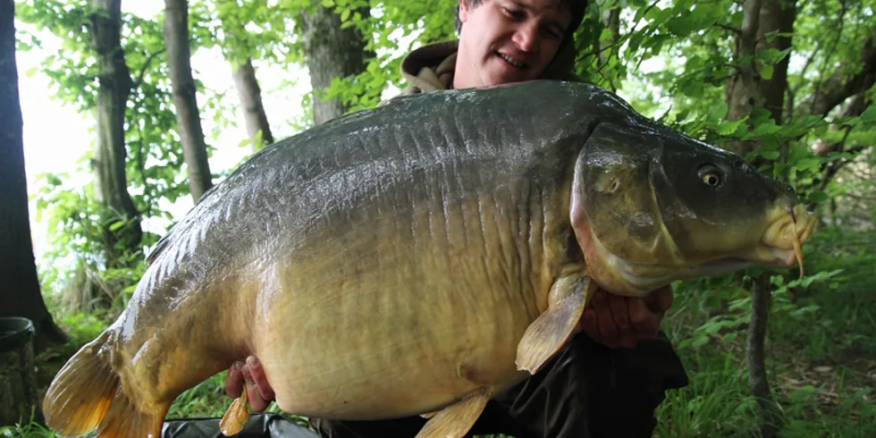 Scopexův francouzský masakr - část první