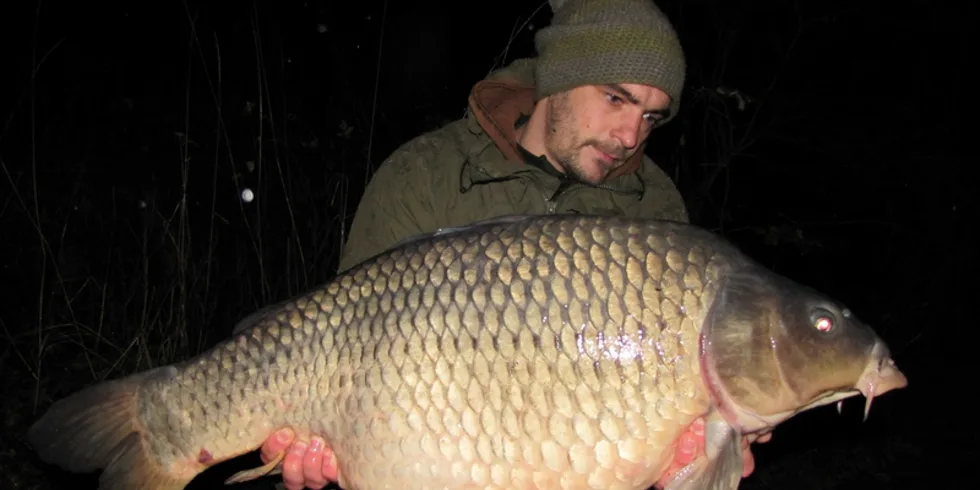 Posledních pár měsíců...