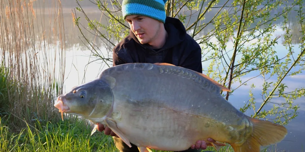 Červíkův zásah do černého