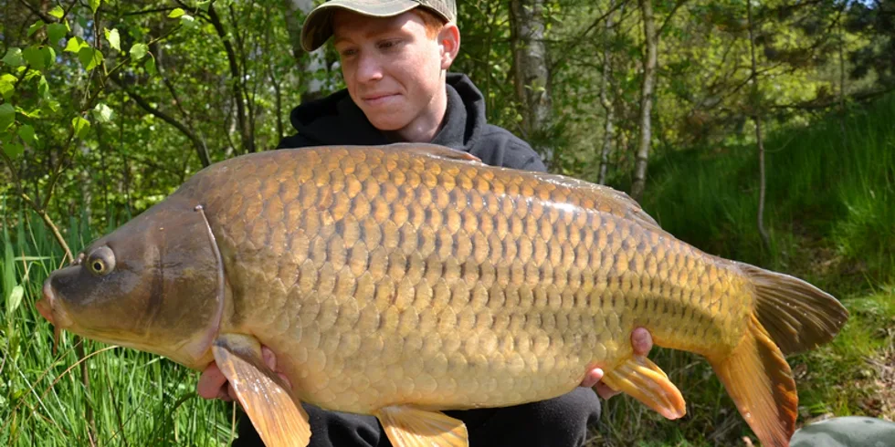 Spanilá jízda Kill Krillu