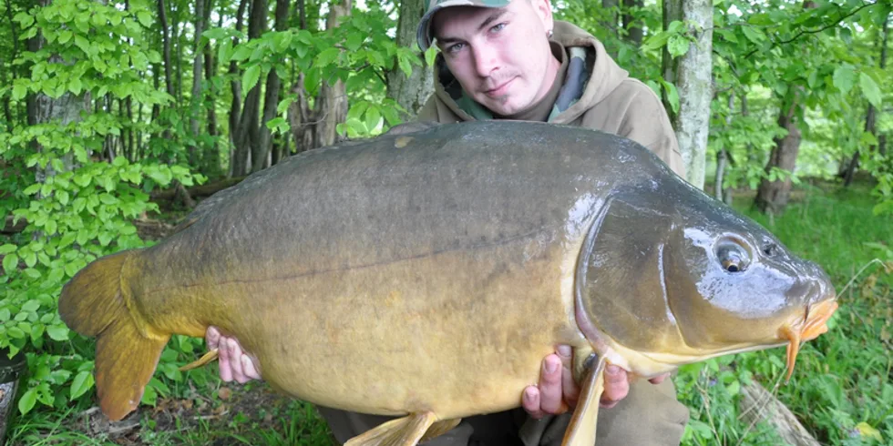 Honzova jarní Francie