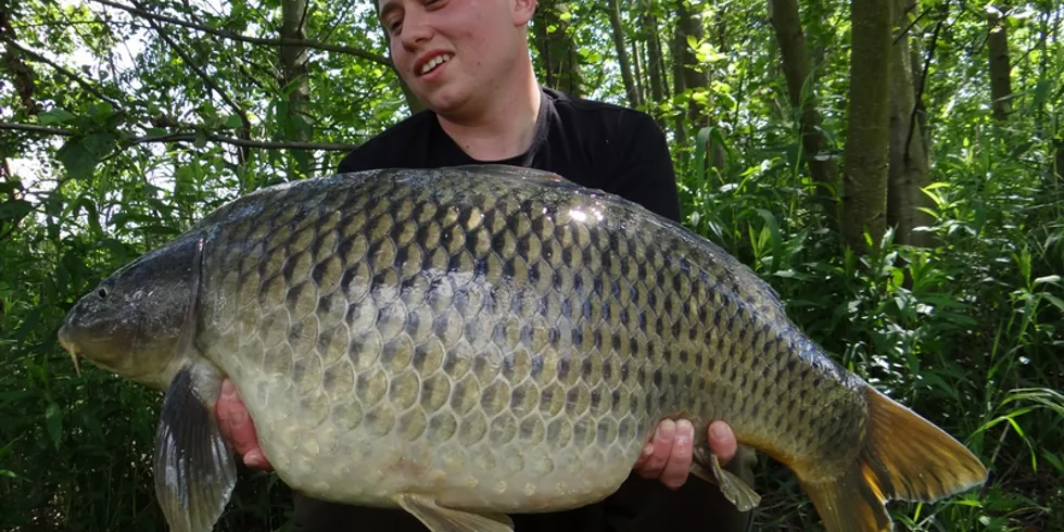 Víkendovka s KrillBerry