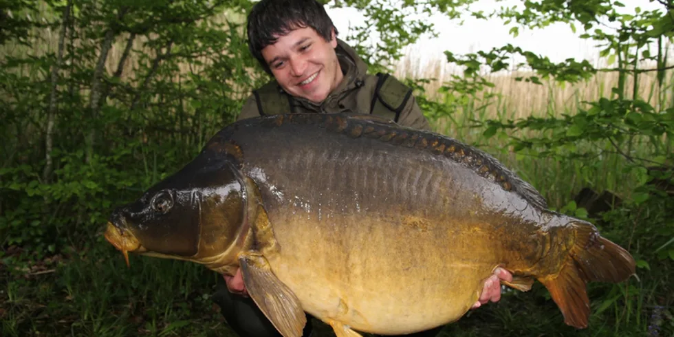 Scopexův francouzský masakr - část druhá