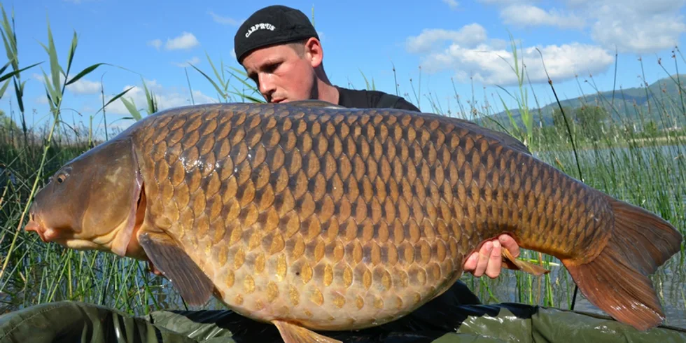 Jackpot z Lago di Pusiano