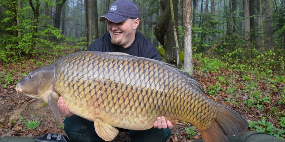 Krátký lov - protože mi nezbývá nic jiného
