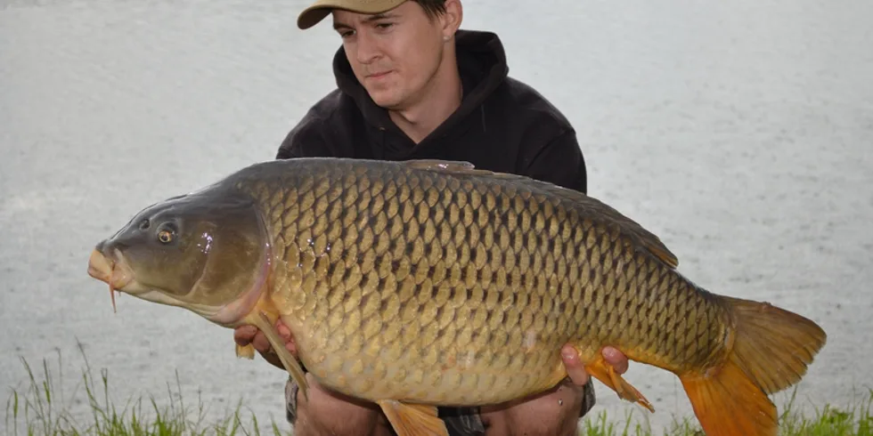 Když jeden záběr stačí