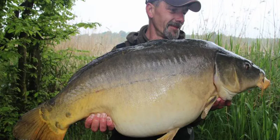 Zdeňkova jarní Francie