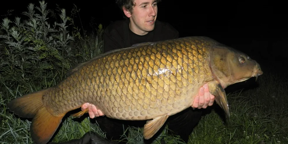 Narozeninový dárek