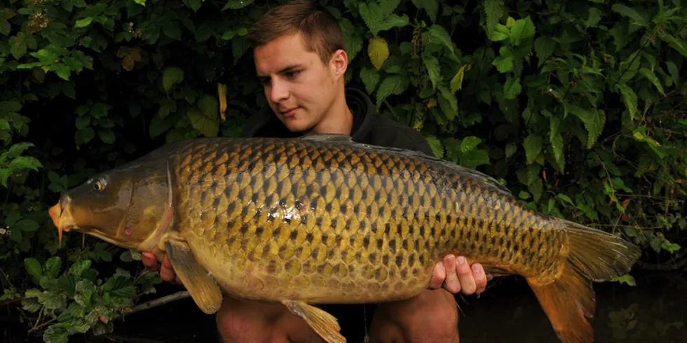 Pivo, pizza, kukurica!