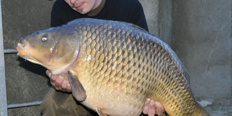 Ještě před třením