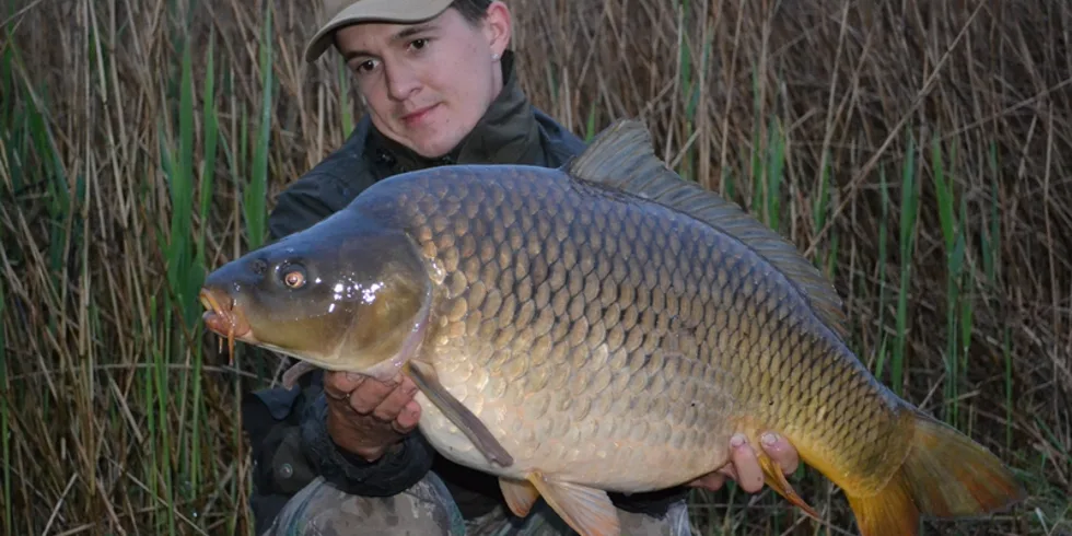 Červikova rychlovka!