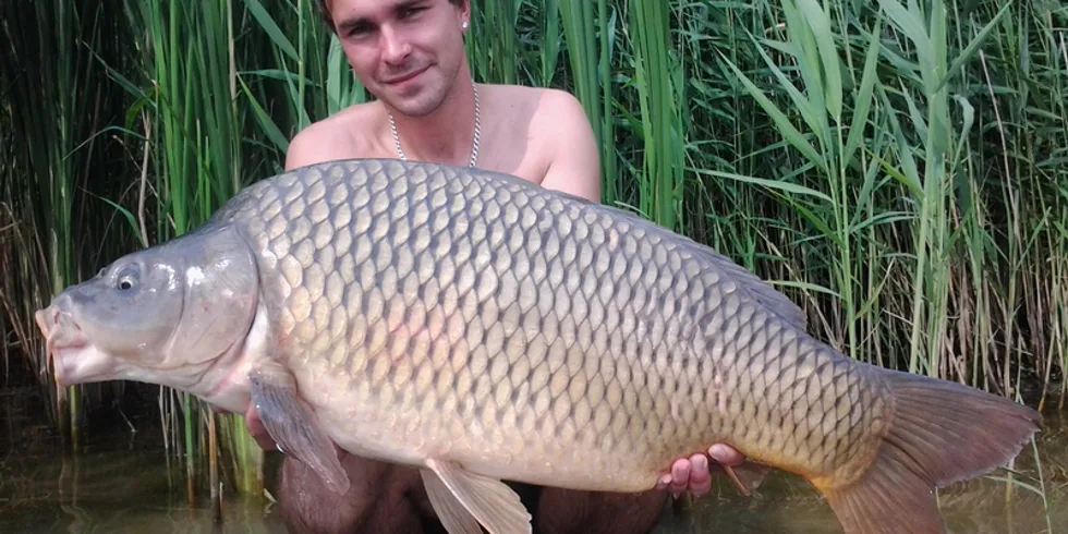 I chvilka se vyplatí