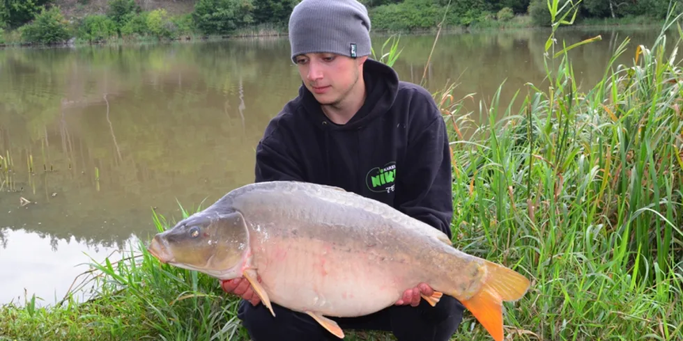 Asuán Junior Cup 2014