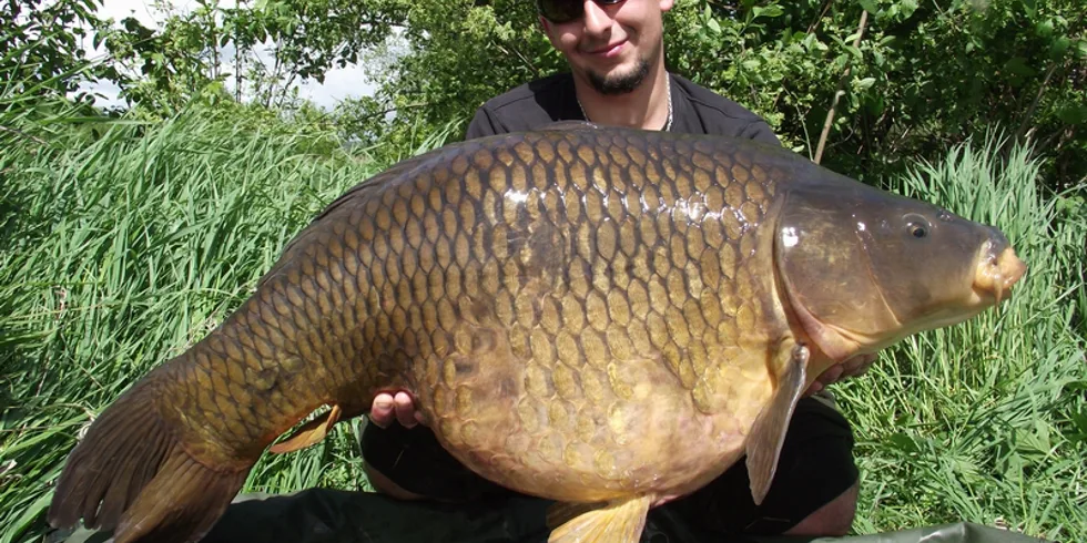 Tomášův průřez sezonou...