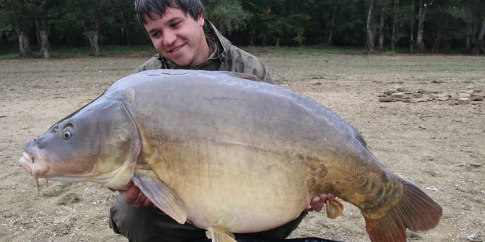 Podzimní neznámá...