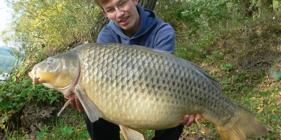 Labské dobrodružství
