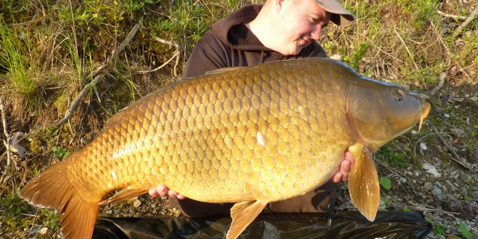 Trápenie ukončené