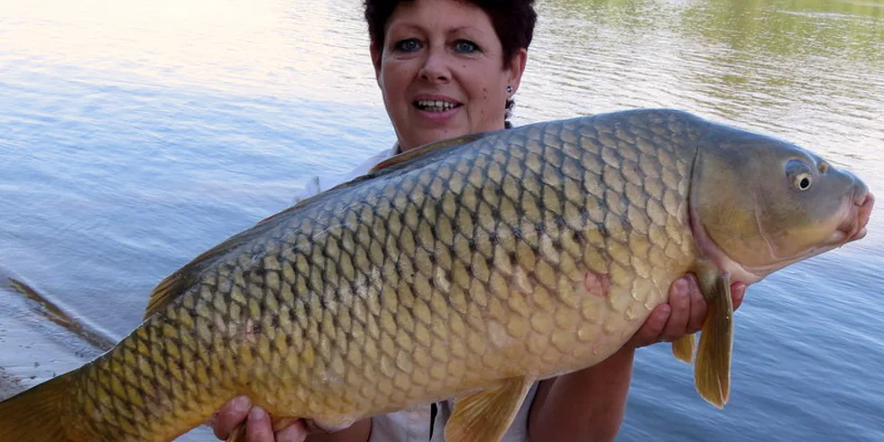 V zajetí přírody...