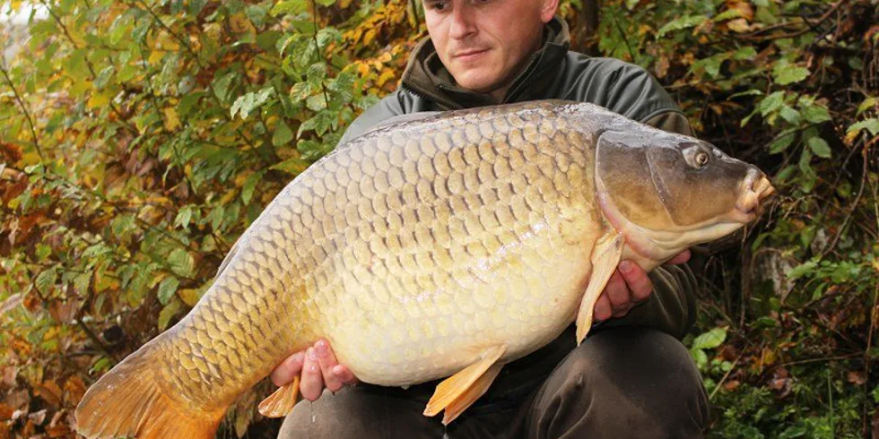 Sezona ještě nekončí!