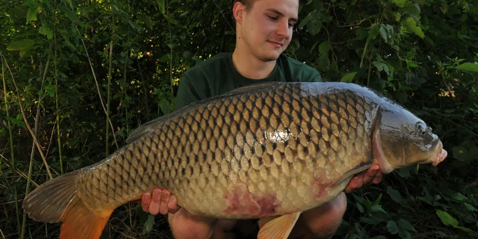 Dva měsíce poté...