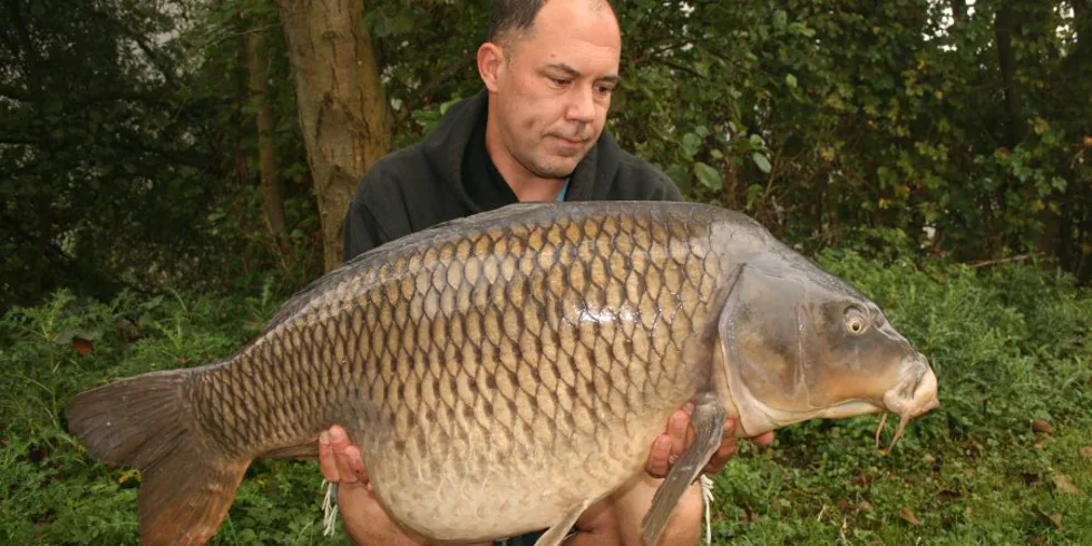 Rickovo Letní tažení