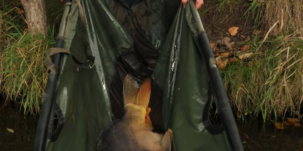 Babí léto Ondry a Dana