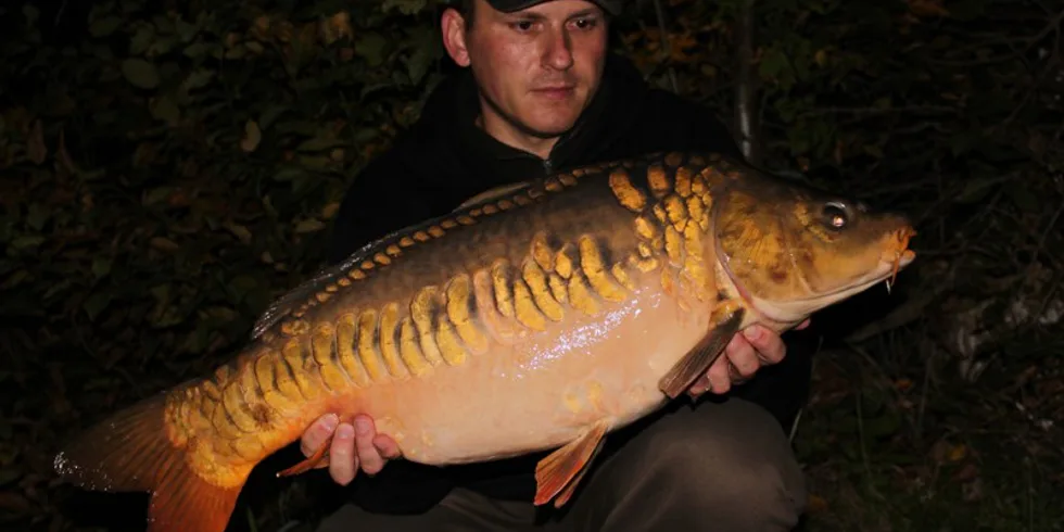 Honzova výprava do Rakouska