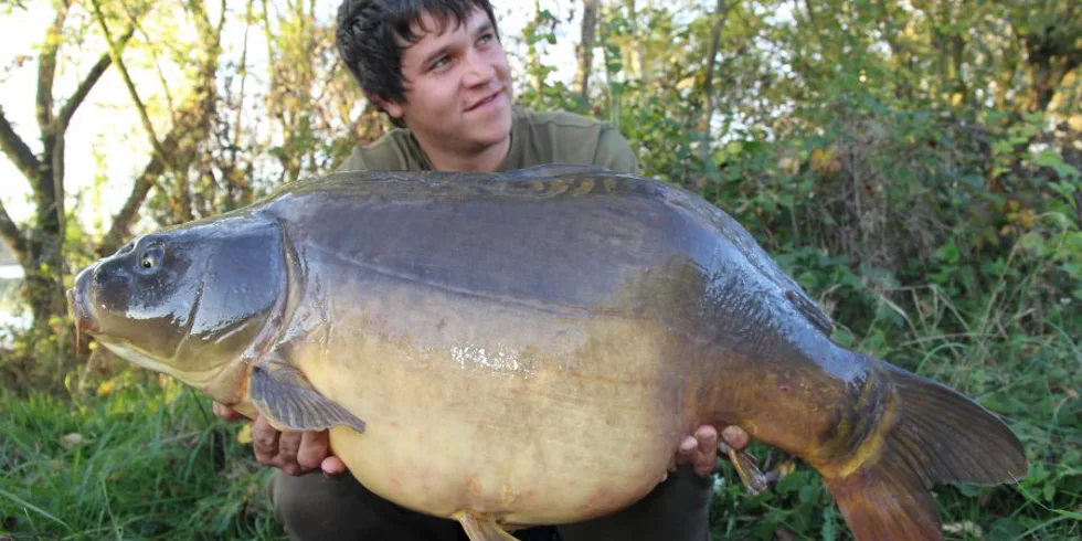 Říjen s ANGRY PLUM,část 1